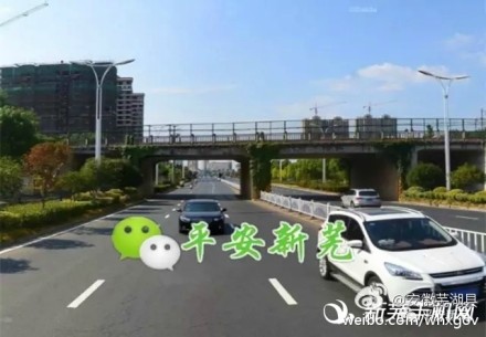 3月1日起，芜湖县世纪大道黑桥档路段绿化改造.jpg